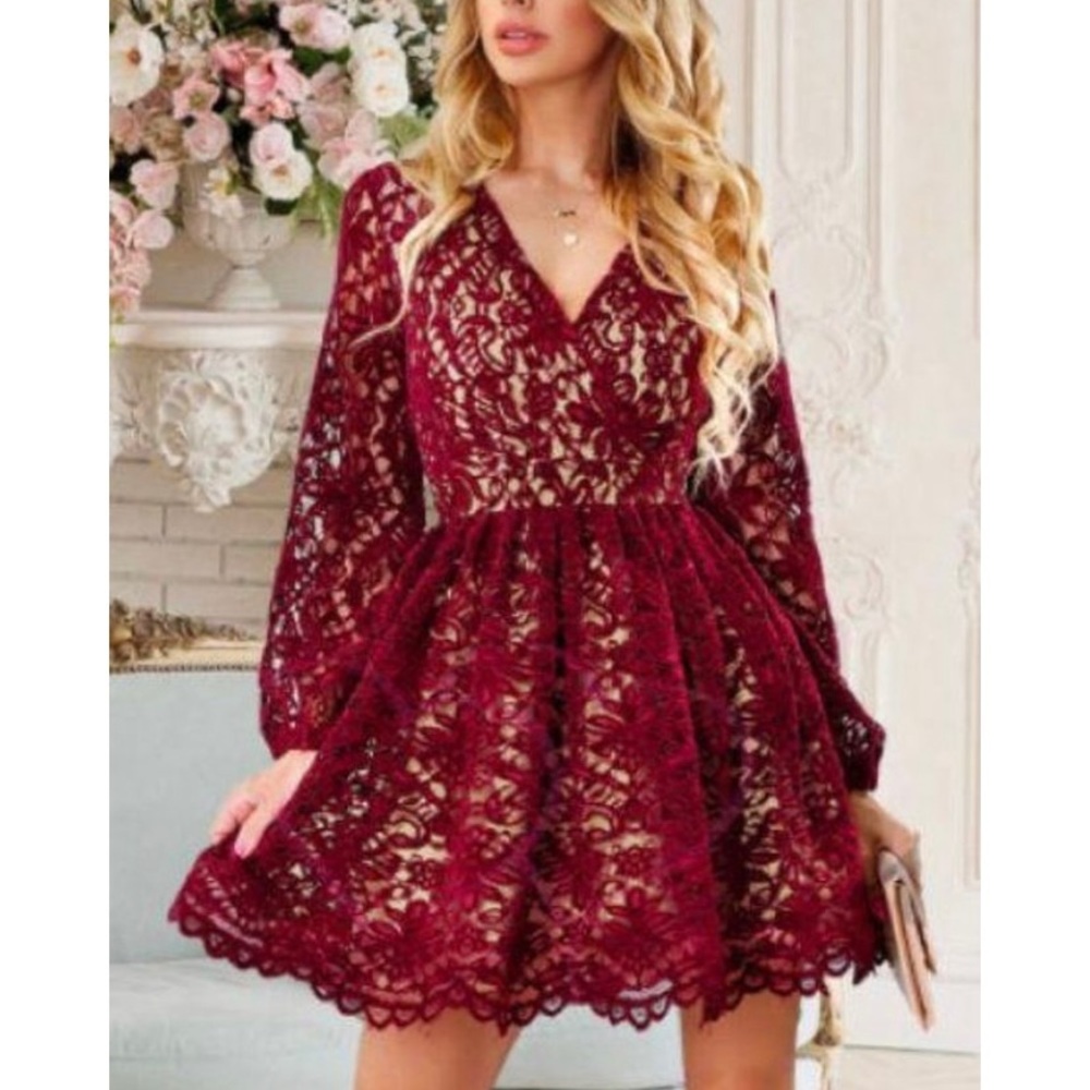 Wine Red Fully Lined V Neck Mini Skater Dress